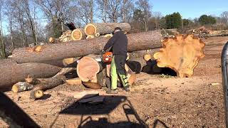 Husqvarna 585 XP Chainsaw Review Little brother to the 592 XP [upl. by Akerehs811]