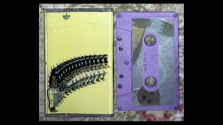 Antigua Ibis  Bisected By Ravines C30 Vanishing Hour Revival 2009 tape rip [upl. by Ahseila]