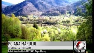 POIANA MĂRULUI [upl. by Carbo]