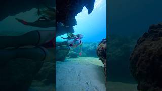 🩷🖤🩷🖤🩷 underwater freediver freediving [upl. by Dorrehs]