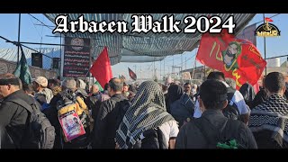 Arbaeen 2024  Arbaeen Walk 2024  Walk Najaf To Karbala  Mashi 2024  Karbala 2024  Safar E Ishq [upl. by Chrissa]