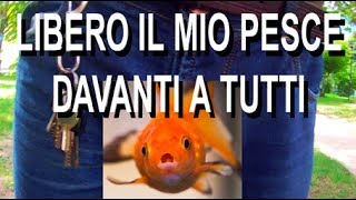 Libero il mio pesce [upl. by Salokkin]