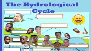 Components of the Hydrological cycle explained by My Class [upl. by Losiram]