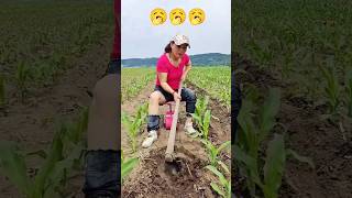 Amazing farming tools  Enjoy Beautiful Nature Life with Rural Farmer satisfying shorts [upl. by Lawlor]