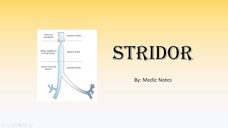 Stridor  acutechronic causes Bernoulli principle clinical features investigations management [upl. by Meta]