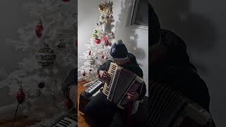 The Virgin Mary Had A Baby Boy  Christmas Song Accordion Cover [upl. by Esiuol]