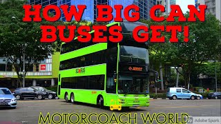 Largest bus in the world How big can they get [upl. by Borchers]