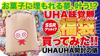 UHA味覚糖 福袋2024買ってみた！ [upl. by Neall760]