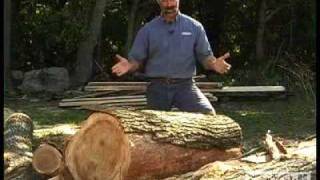 Woodworking DIY Tips Cutting Lumber from Logs [upl. by Lardner]