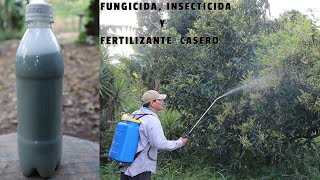 POTENTE Fungicida Insecticida y Fertilizante Casero Plantas Libre de Plagas y muy Hermosas [upl. by Eirrehs]