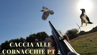 CACCIA ALLE CORNACCHIE PT2 [upl. by Crim213]