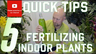 5 quick tips Fertilizing your indoor plants [upl. by Hannan]