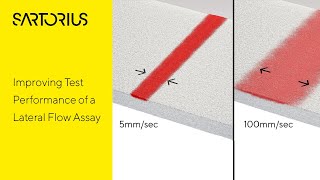 How to Improve Test Performance of a Lateral Flow Assay via Dispenser Setup [upl. by O'Mahony440]