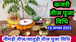 कजरी तीज पूजा विधि  kajari Teej Puja vidhi 2022 [upl. by Mroz186]