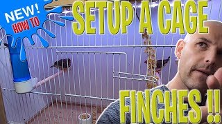 How to Setup a cage for FINCHES  FINCH care 2019  Breeding Birds [upl. by Brunk]