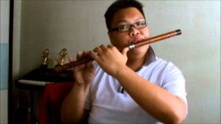 TARA Day by Day Flute Cover [upl. by Opiak11]