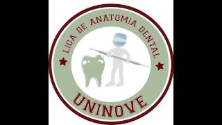 Anatomia Dental Básica [upl. by Ainivad]