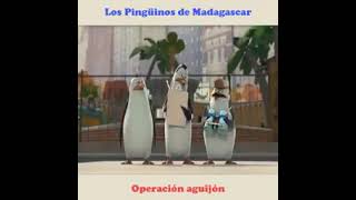 los pingüinos de madagascar 5 [upl. by Rehctaht]