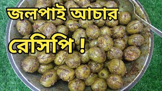 খুব সহজে তৈরি করে ফেলুন জলপাই আচার রেসিপি  Jlopai Achar Recipe  Achar Recipe [upl. by Hafeetal]