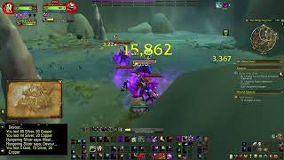 WoW World Quest  Pool Cleaner  The War Within Horde [upl. by Adriel]