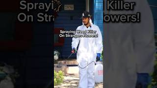 Weed killer on strangers flowers prank [upl. by Inaoj]