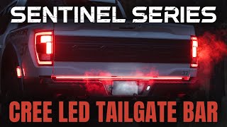 The ULTIMATE Tailgate Bar for your F150 Super Duty amp Raptor The Sentinel Series by F150LEDscom [upl. by Clayton]