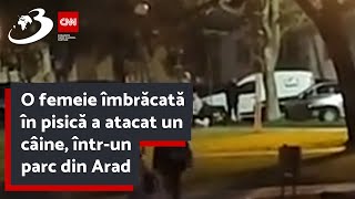 O femeie îmbrăcată în pisică a atacat un câine întrun parc din Arad [upl. by Arabella]