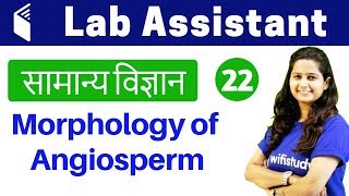 200 PM  Lab Assistant सामान्य विज्ञान by Shipra Maam  Day 22  Morphology of Angiosperm [upl. by Nnylaf]