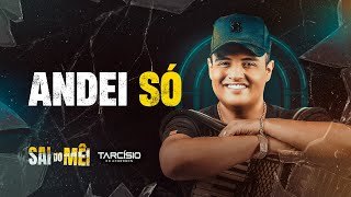 ANDEI SÓ  Tarcísio do Acordeon CD Sai do Mêi [upl. by Ydnam641]