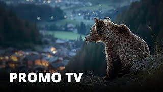 PERICOLOSAMENTE VICINI 2024  Promo tv [upl. by Yasu279]