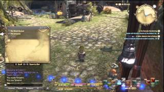 Final Fantasy XIV A Realm Reborn  How to get quotI Make this look goodquot achievement [upl. by Darius609]