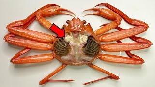 Strange Organ Inside the Crab   Crab Dissection [upl. by Justin338]