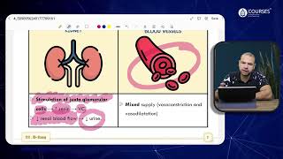 Physiology  Lecture 7  Revision [upl. by Akehsat]