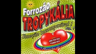 FORROZÃO TROPYKÁLIA  Planeta de cores com letra [upl. by Maisie]