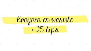 Konijnen en warmte met veel tips  De konijnenknuffelaar [upl. by Mccallion]