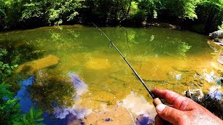 Fishing Panfish Beds In A Creek [upl. by Mortensen]