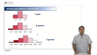 Genética cuantitativa  1417  UPV [upl. by Poppo393]