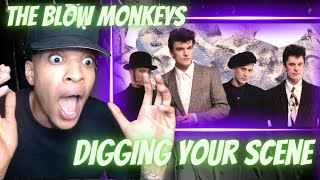 FIRST TIME HEARING THE BLOW MONKEYS  DIGGING YOUR SCENE  REACTION [upl. by Currey866]