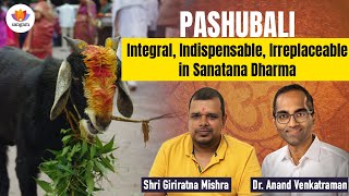 Pashubali Integral Indispensable Irreplaceable in Sanatana Dharma  SangamTalks [upl. by Zsolway]