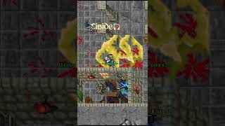 TIBIA  FALCONS TRAP [upl. by Walford]