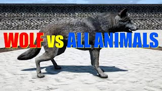 Far Cry 4 Animal Fight  Grey Wolf vs All Animals Battles [upl. by Nnylyt739]