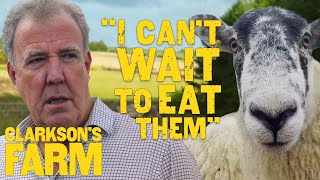 Jeremy Clarksons LoveHate Relationship With His Sheep  Clarksons Farm [upl. by Tegdig]