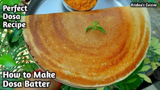 How To Make Dosa  Perfect Dosa Batter Recipe  Iskcon Prasad  Krishnas Cuisine dosarecipe [upl. by Assener]