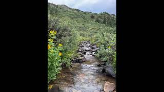 Video of Lincoln Creek Dispersed Campground CO from Elsa P [upl. by Had]