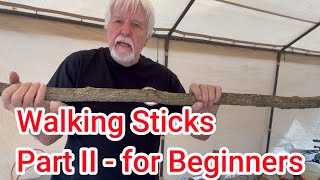 Walking Sticks  Part II for Beginners [upl. by Si39]