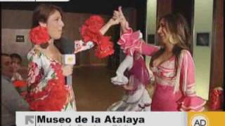 Moda flamenca que suena bien [upl. by Mylan]