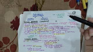 Neisseria 1  Microbiology levinson 3rd year mbbs Special becterio chap 2 Gmvecocci [upl. by Frodi]