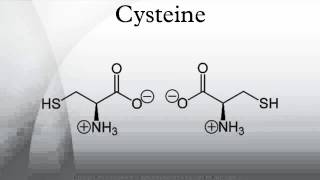 Cysteine [upl. by Vilhelmina141]