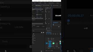 Create Import amp Export presets in premiere pro [upl. by Natrav263]