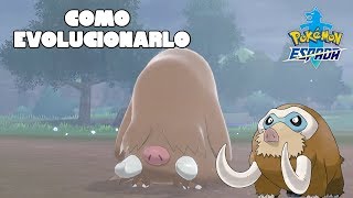 Como Evolucionar A Piloswine A Mamoswine En Pokemon Espada Y Escudo [upl. by Lein]